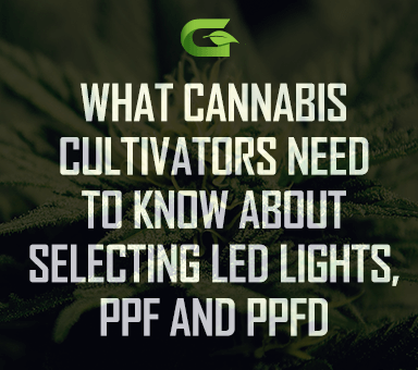 What cannabis cultivators need to know about selecting LED lights, PPF and PPFD