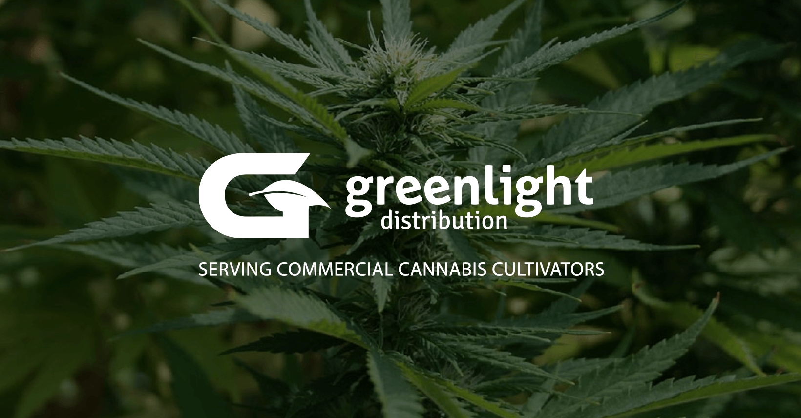 https://growwithgreenlight.com/wp-content/uploads/2022/02/SOCIAL-IMAGE.png