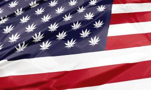 Cannabis American Flag
