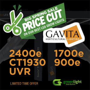 Price cut on Gavita LED grow lights