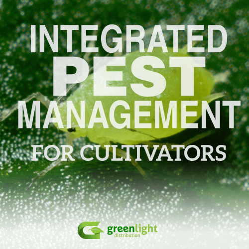 Integrated Pest Management for cannabis cultivators