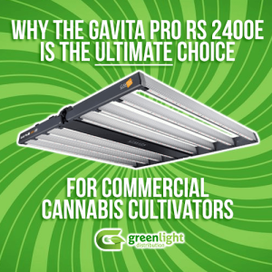 The Gavita PRO RS 2400e LED grow light from Greenlight Distribution.