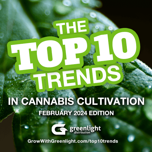 The Top 10 Trends in Cannabis Cultivation