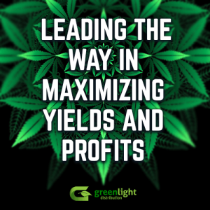 Greenlight Distribution leads the way in maximizing yields and profits