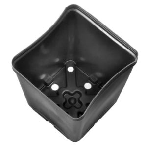 Gro Pro Square Plastic Pot 5.5 in x 5.5 in x 6 in (200/Cs)
