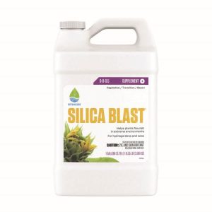 SILICA BLAST 1GAL