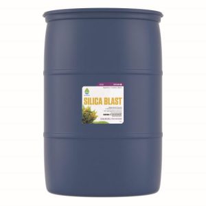 SILICA BLAST 55GAL/1