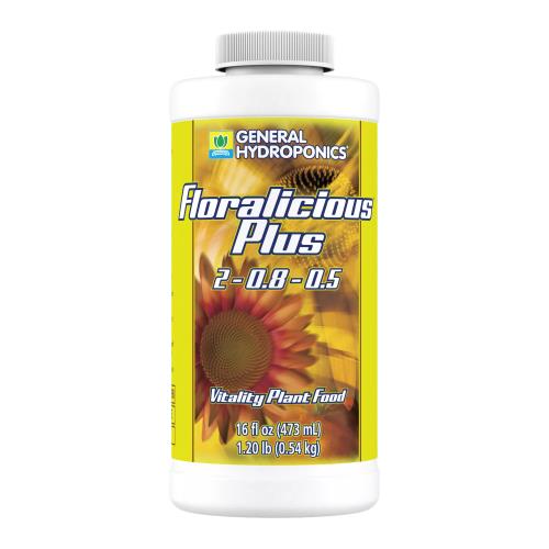 GH Floralicious Plus Pint (12/Cs)