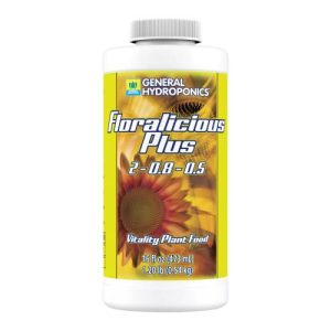 GH Floralicious Plus Pint (12/Cs)